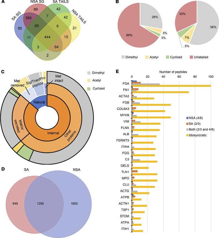 Overview of the vegetation proteome and degradome defined by TAILS.
(A) ...