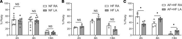 CM ploidy is increased in LA CMs of humans with AF.
CMN were isolated fr...
