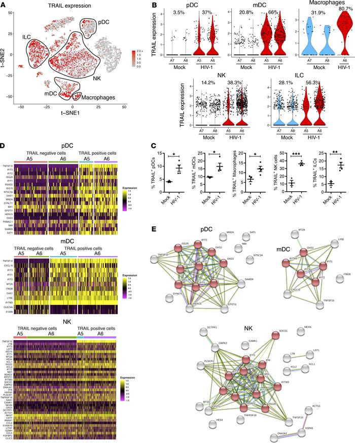 HIV-1 infection induces TRAIL expression in a subset of all innate immun...