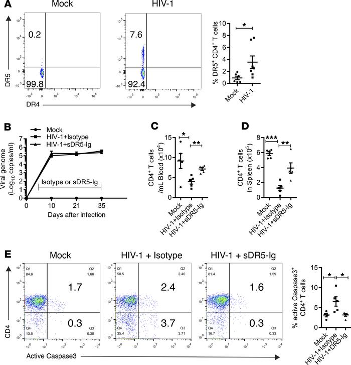 Blocking TRAIL signaling in vivo prevents HIV-1–induced CD4+ T cell depl...
