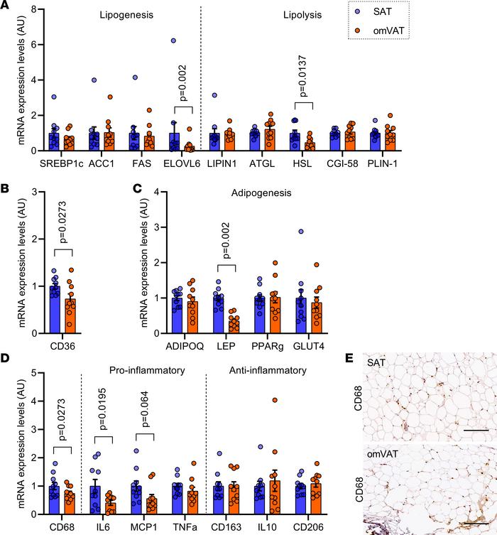 Evaluation by real-time PCR of a panel of genes associated with lipid me...