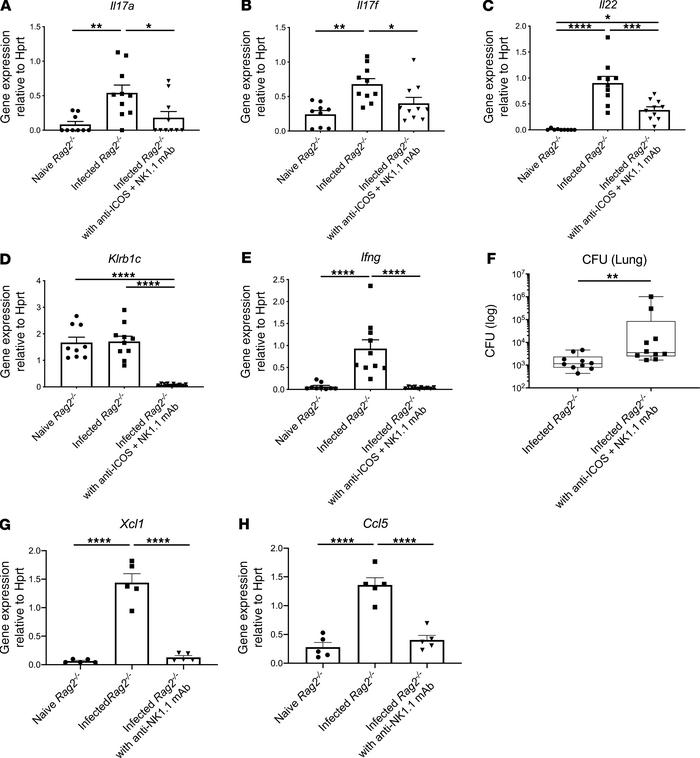 Dual blockade of ICOS and NK cells exacerbates lung infection.
Six- to 8...