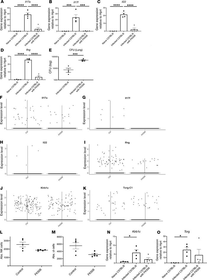 Pharmacological model of host KPC susceptibility with FK506 mimics the s...
