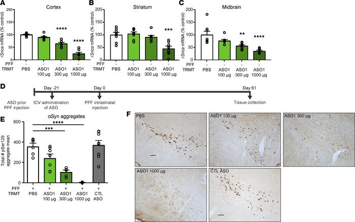 ASO-mediated reduction of Snca is dose responsive and prevents pathogeni...