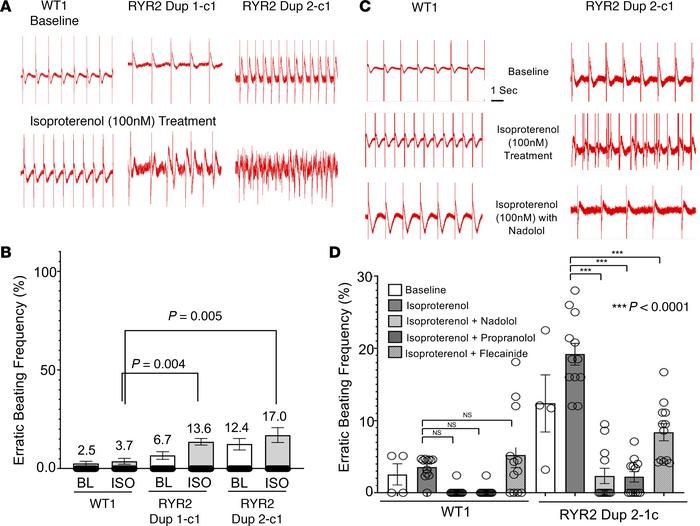 Field potential recording–based arrhythmic activity measurement.
(A) Rep...