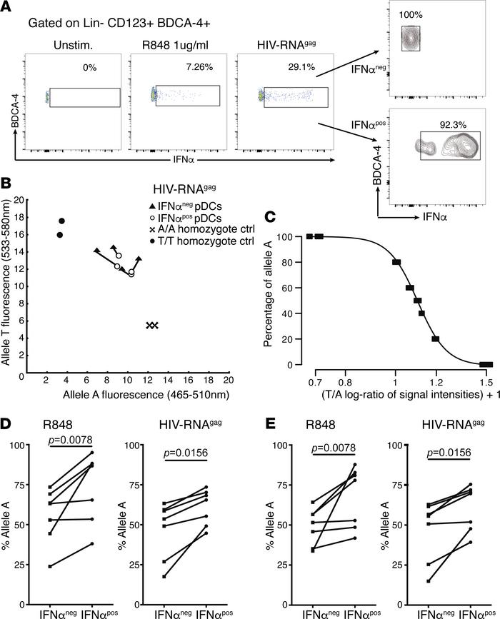 Allele A enrichment among TLR7 transcripts from IFN-α–producing female p...