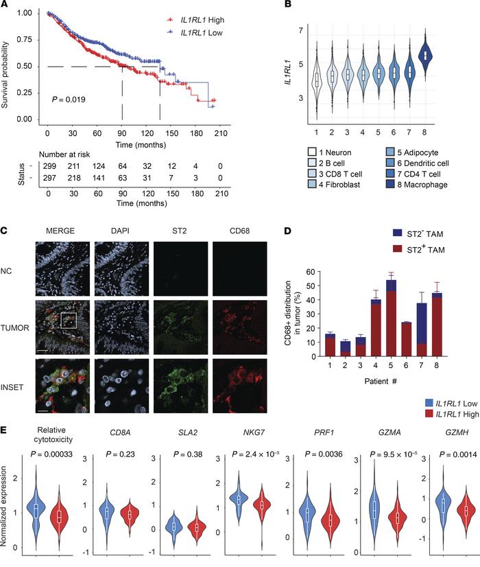 Identification of ST2 as a T cell–suppressive molecule in human CRC.
(A)...