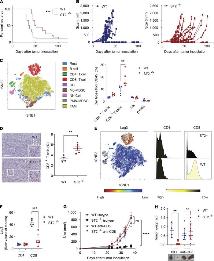 Disruption of the IL-33/ST2 pathway enhances CD8+ T cell–mediated antitu...