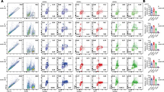 Insulitis progression is marked by expression of AIF1 in DC and macropha...