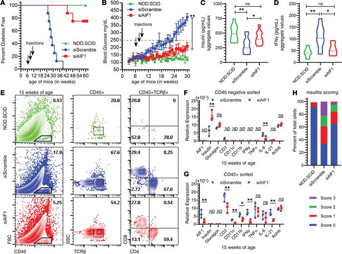 In vivo silencing of AIF1 in NOD mice restrains insulitis.
Six-week-old ...