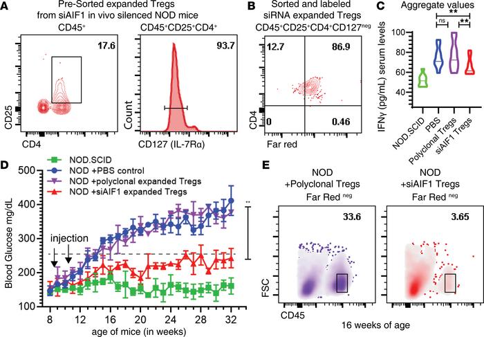 Adoptive transfer of Tregs expanded from AIF1-silenced NOD mice confer p...