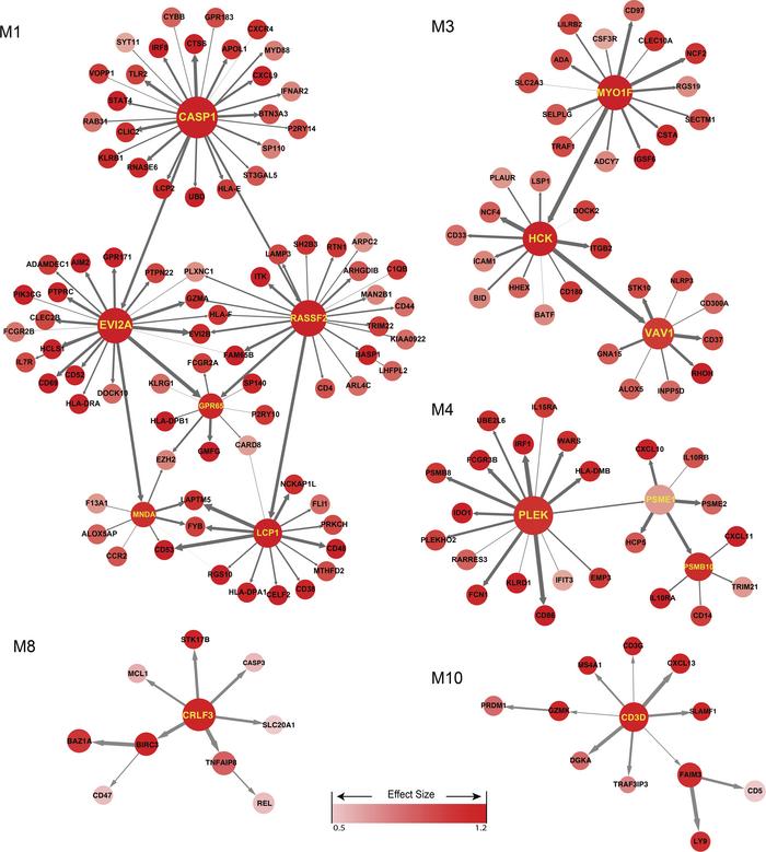 KDGs in AR differential modules.
Each colored node represents a meta-gen...