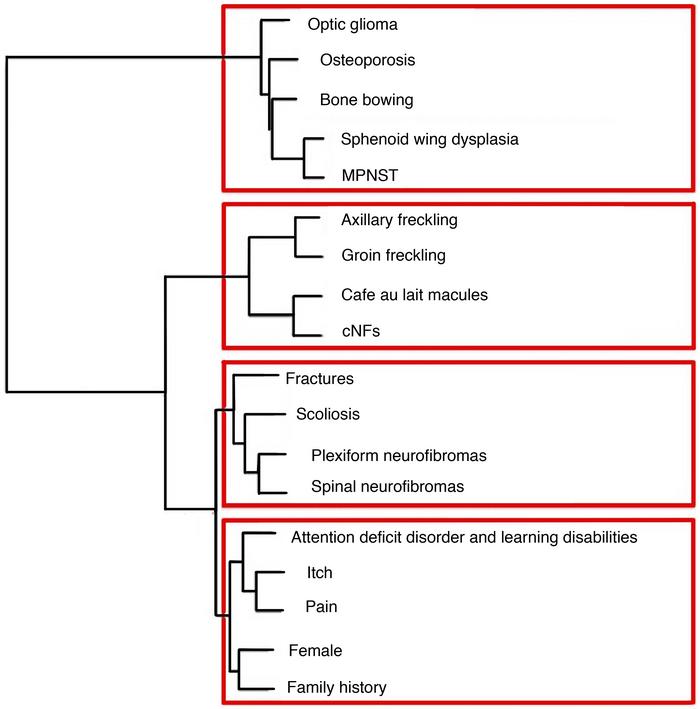 Hierarchical clustering of traits reveals consistency with correlations....