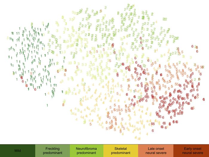Clustering reveals phenotypic subtypes visualized by t-stochastic neighb...
