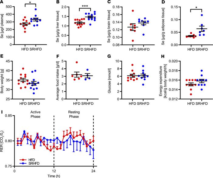 Unaltered energy homeostasis in male mice fed an SRHFD.
(A–D) Selenium c...