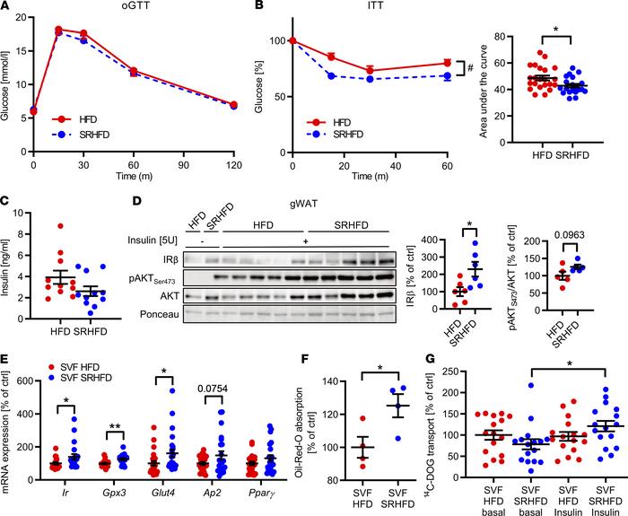 Selenite supplementation in diet-induced obesity attenuates insulin resi...