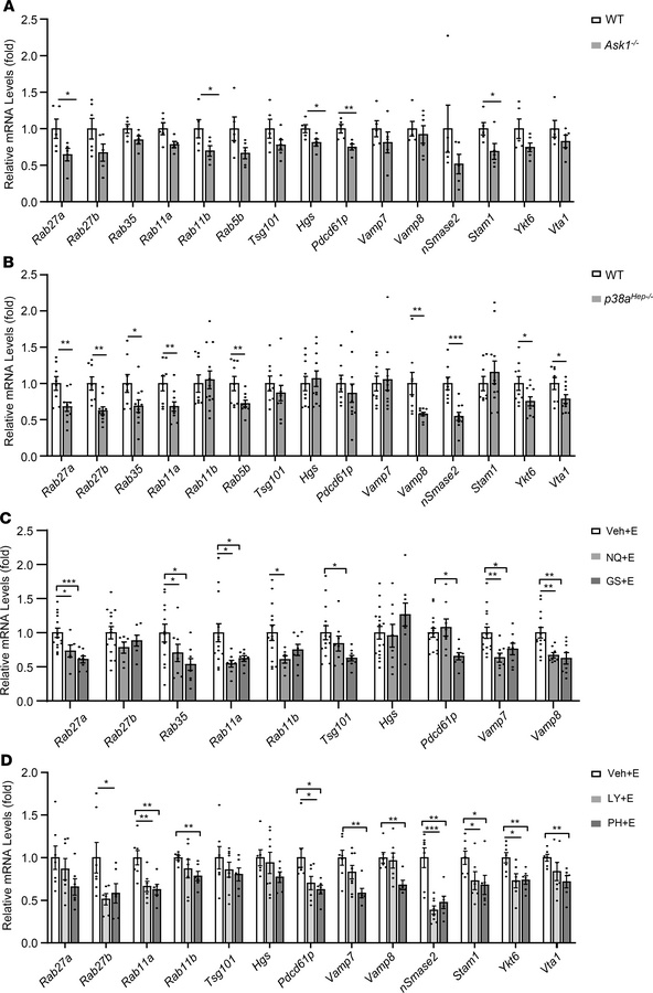Inhibition of ASK1 or p38 activation attenuates expression of the genes ...