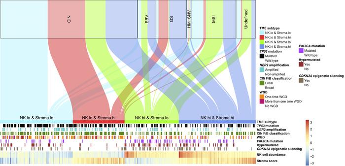 The correspondence between patients classified according to TCGA subtype...