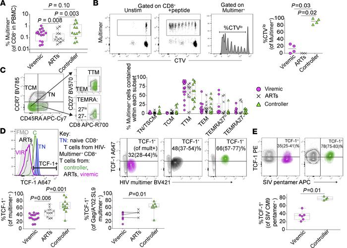 TCF-1 expression is elevated in HIV- and SIV-specific CD8+ T cells from ...