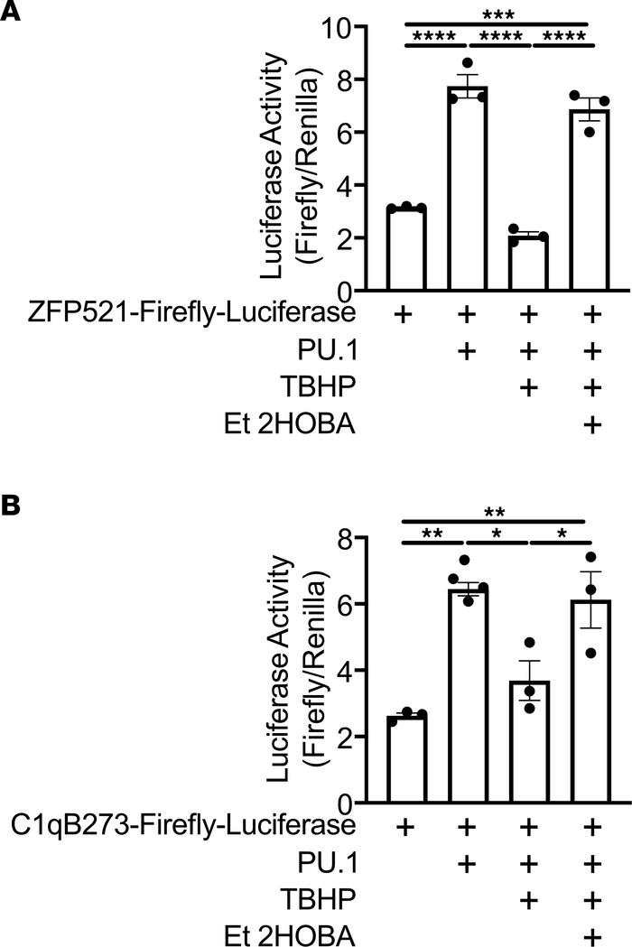 TBHP-mediated repression of PU.1 transcriptional activity is restored wi...