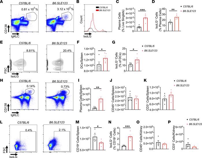 IsoLG adduct accumulation and immune dysfunction in 7-week-old B6.SLE123...