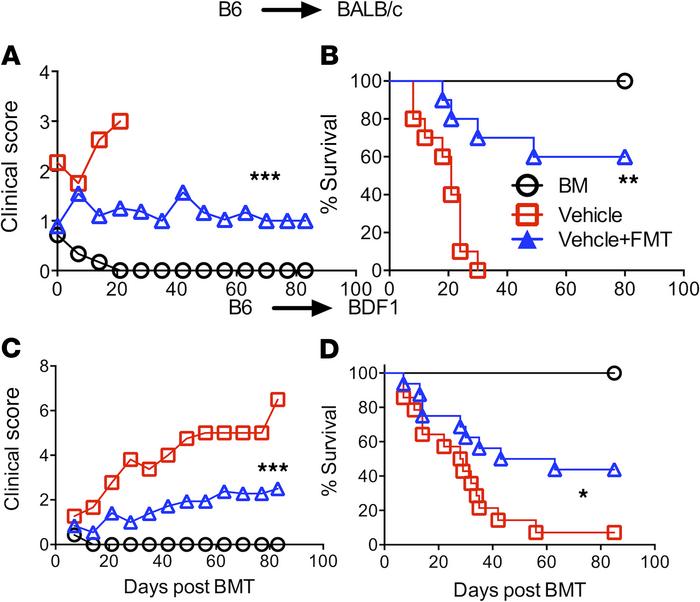 FMT from Taconic donor mice reduces GVHD.
BALB/c or BD2F1 mice were trea...