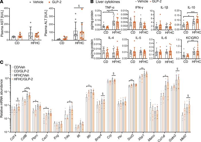 GLP-2 treatment in HFHC diet–fed mice does not effect hepatic inflammati...