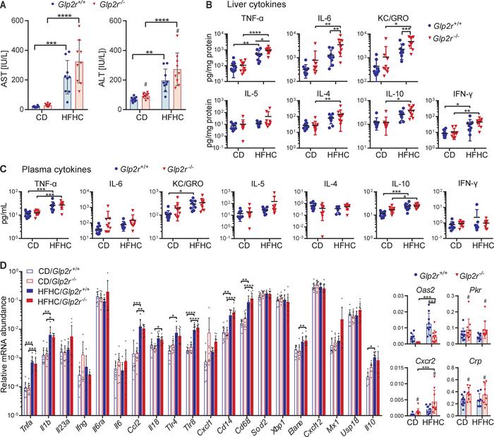 
Glp2r–/– mice exhibit enhanced hepatic inflammation on a HFHC diet.
Hep...