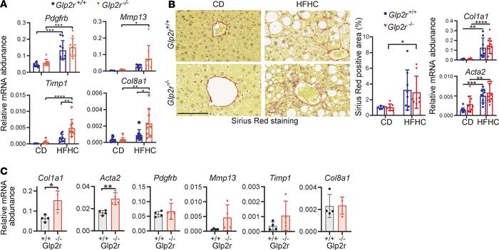 Hepatic stellate cell activation markers are elevated in Glp2r–/– mice o...