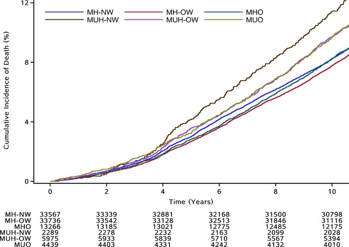 The cumulative incidence of death according to the BMI-MetS phenotypes.
...