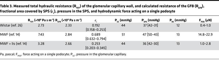 Measured total hydraulic resistance (RTOT) of the glomerular capillary w...