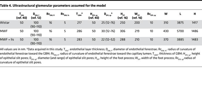 Ultrastructural glomerular parameters assumed for the model
