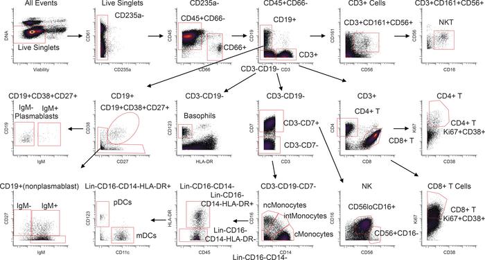 Gating strategy.
The gating strategy is represented using the day 25 sam...