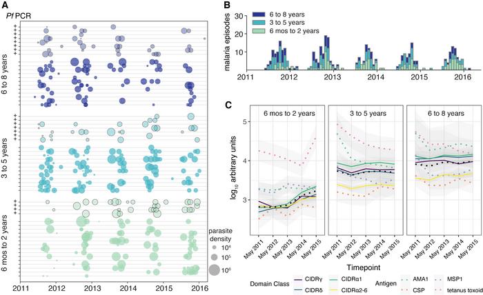 Longitudinal analysis of PfEMP1 variant–specific IgG over multiple malar...