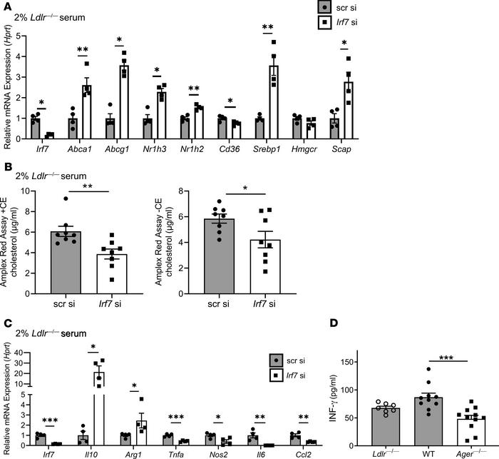 IRF7 regulates macrophage cholesterol content and inflammation.
(A) The ...