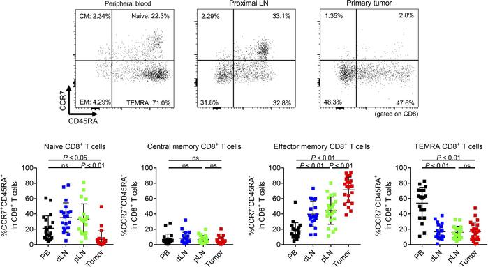 Differences of CD8+ T cell subpopulations among peripheral blood, LNs, a...