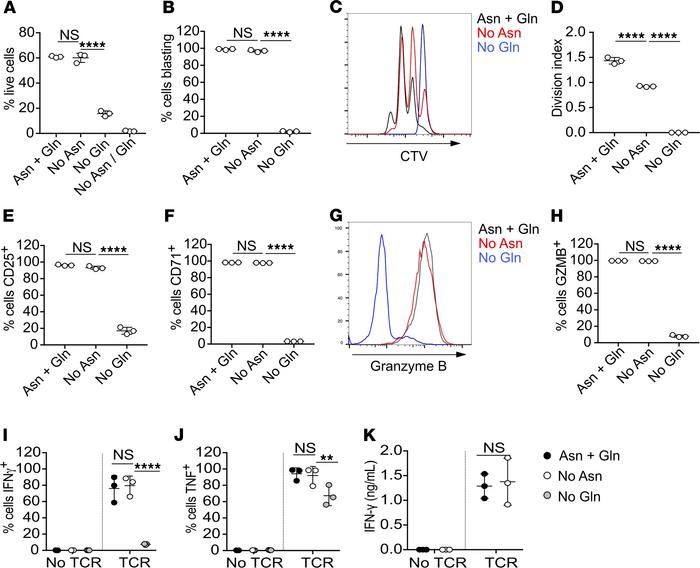 T cells lose requirement for extracellular asparagine upon prolonged act...