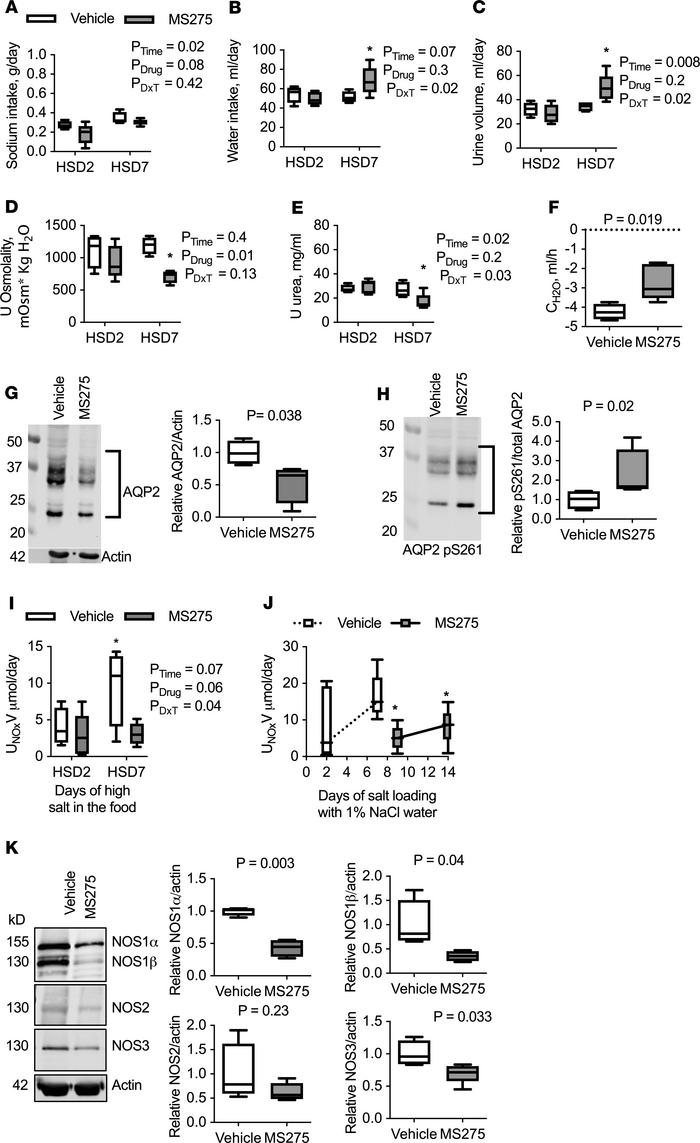 Metabolic cage results from rats on a 2- or 7-day HSD with intramedullar...