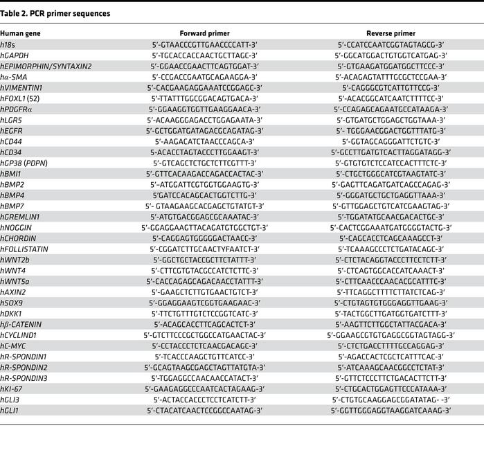 PCR primer sequences
