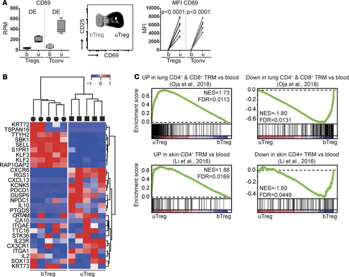 Tregs at the materno-fetal interface have a tissue-resident profile.
(A)...