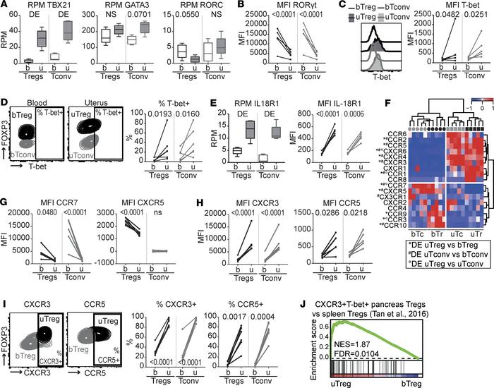 uTreg and uTconv polarization at the materno-fetal interface.
(A) Gene e...