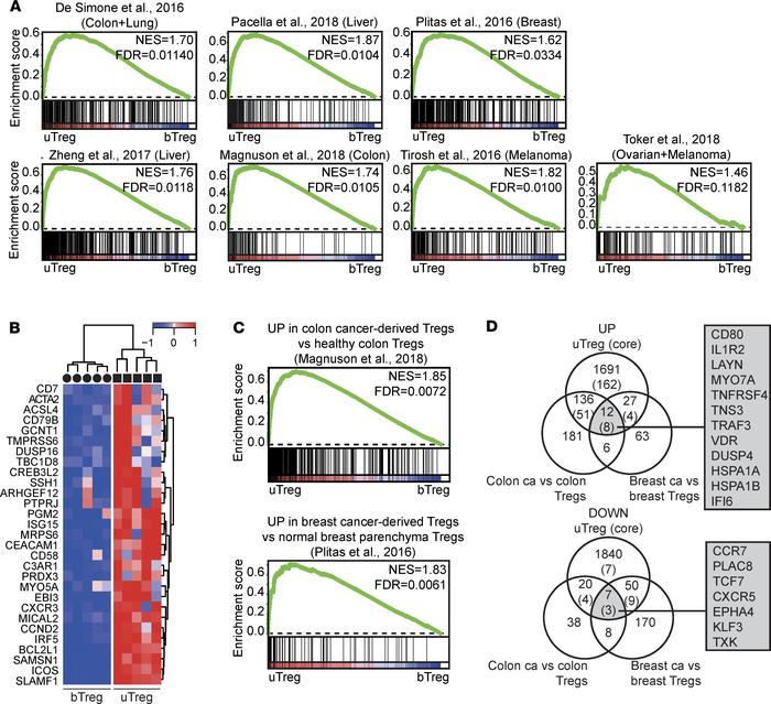 uTregs have a functional profile similar to tumor-infiltrating Tregs.
(A...