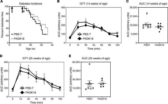 Effects of FKGK18-withdrawal regimen on T1D incidence and glucose tolera...