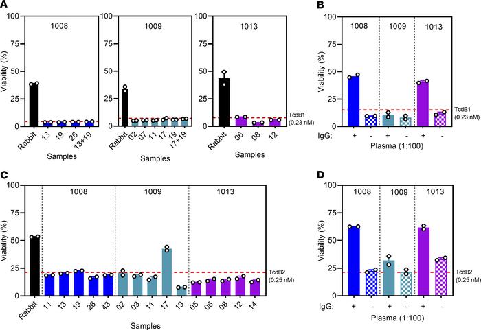 CTD-specific Bmem encode nonneutralizing antibodies.
(A) Serum from CTD-...