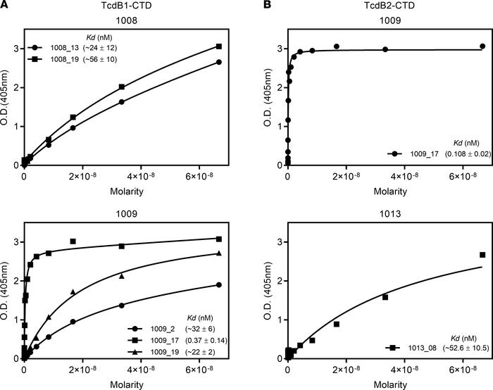 Bmem-encoded mAbs bind CTD with low to moderate affinity.
(A) Select mAb...