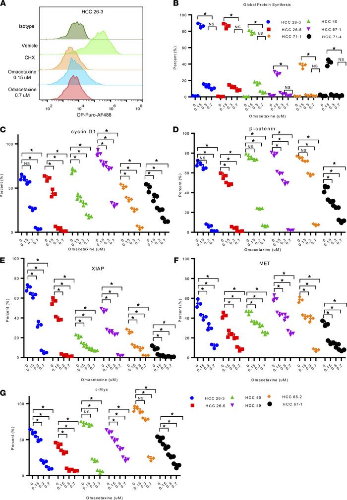 Omacetaxine acts through inhibition of oncoprotein synthesis.
(A) The hi...