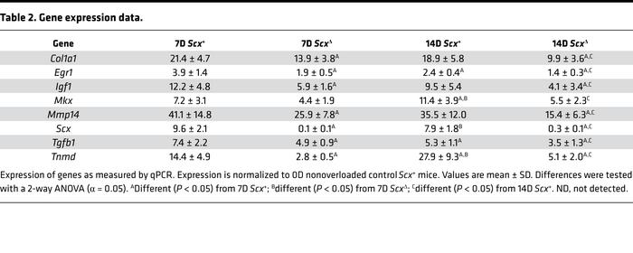 Gene expression data.