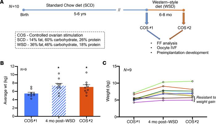 Longitudinal study to determine the effects of short-term maternal WSD i...
