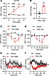 Administration of the EP4 agonists decreases BP in Dahl SS rats.