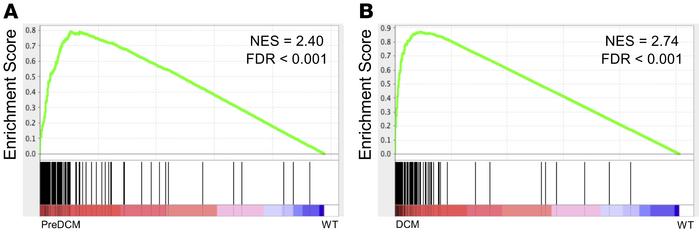 Genes suppressed by JQ1 are highly enriched in PLNR9C hearts.
GSEA for p...